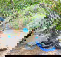 Jungle Love Festival - Hotel Accommodation