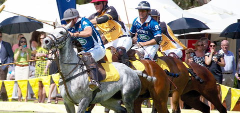 Land Rover Polo In The City Brisbane - Hotel Accommodation 0