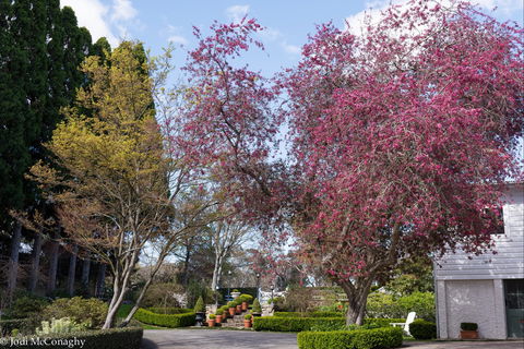 Leura Gardens Festival - Cancelled - Hotel Accommodation 0