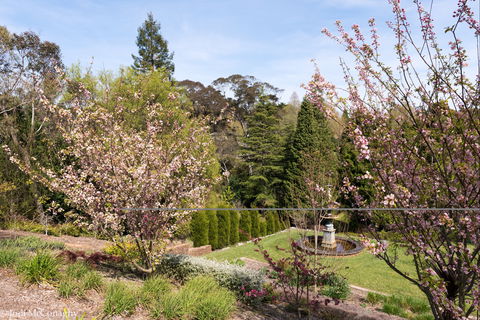 Leura Gardens Festival - Cancelled - Hotel Accommodation 2