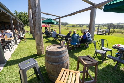 Live Music Sundays At Mountain Ridge Wines - Hotel Accommodation 0