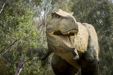 Lost Sanctuary At Healesville Sanctuary - Hotel Accommodation 2