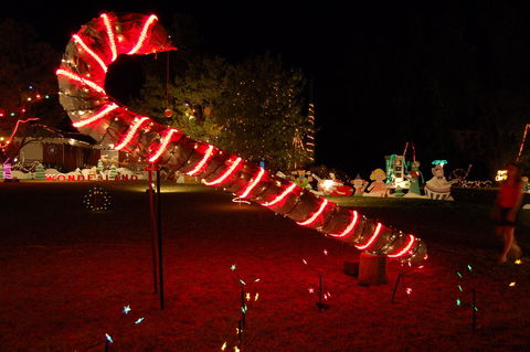 Loxton Christmas Lights Festival - Hotel Accommodation 2