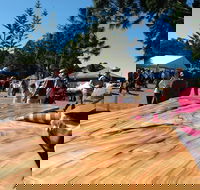 Maleny Wood Expo From Seed to Fine Furniture - Hotel Accommodation