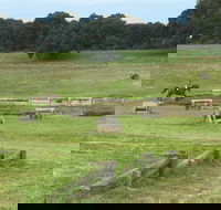 Mount Gambier and District Pony Club Horse Trials 2020 - Hotel Accommodation