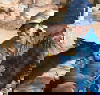 Mums and Cubs And Dads too - Hotel Accommodation