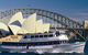 NRL Grand Final Transfer With Vagabond Cruises - thumb 0