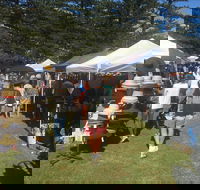 Palm Beach Market - Hotel Accommodation