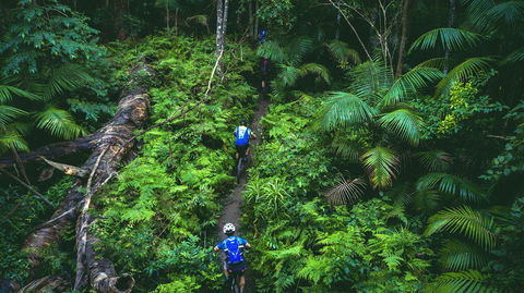 Reef To Reef - Hotel Accommodation 7