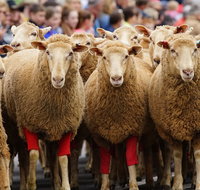 Rosto Merriwa Festival of the Fleeces - Hotel Accommodation