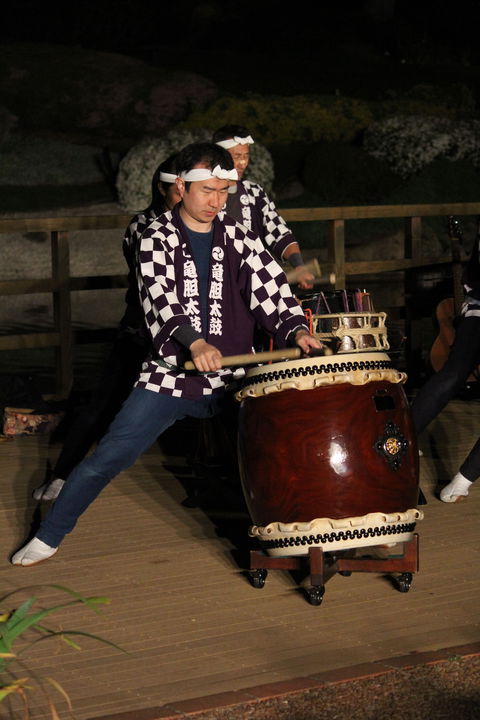 Sakura Matsuri  - Cherry Blossom Festival - In Doubt Due To Covid-19 - Hotel Accommodation 1