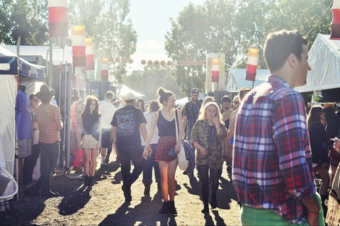 Splendour In The Grass - Hotel Accommodation 1