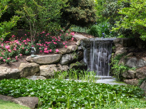 Spring Time At Hunter Valley Gardens - Hotel Accommodation 1