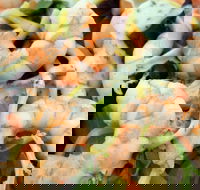 The Orient Express  Asian cooking class - Hotel Accommodation