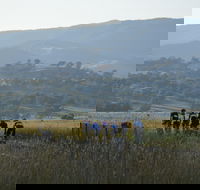 Tumut Cycle Classic - Hotel Accommodation