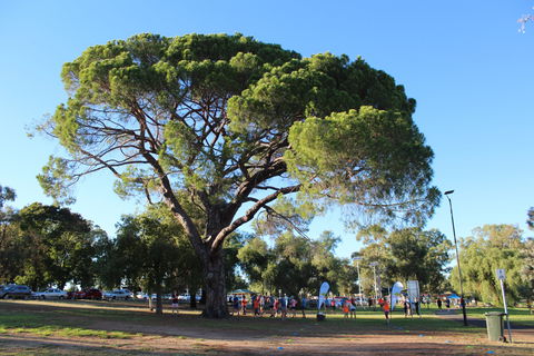 Wagga Parkrun - Hotel Accommodation 1