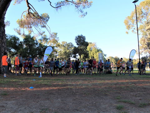 Wagga Parkrun - Hotel Accommodation 2