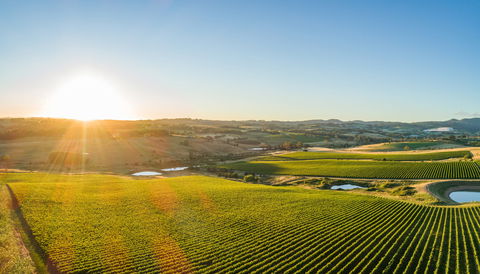 Wine And Food At Altitude - Hotel Accommodation 0