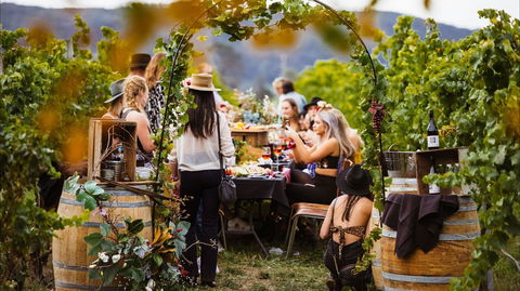 Wine Machine - NEW DATE - Hotel Accommodation 1