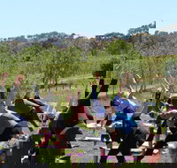Yoga in the Vines - Hotel Accommodation