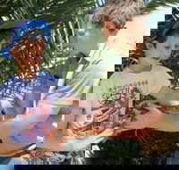 Zoocation at the National Zoo  Aquarium - Hotel Accommodation