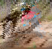 Fox Superflow sealed by Stan's Race  Greenvalleys - Hotel Accommodation