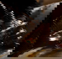 Tasmanian Whisky Week - Hotel Accommodation