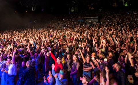 Woodford Folk Festival - Hotel Accommodation 5