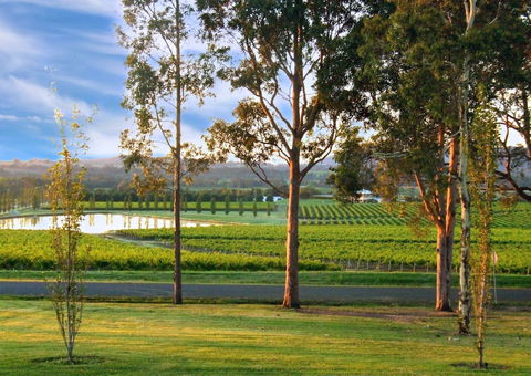 Estate Tuscany - Hotel Accommodation 6