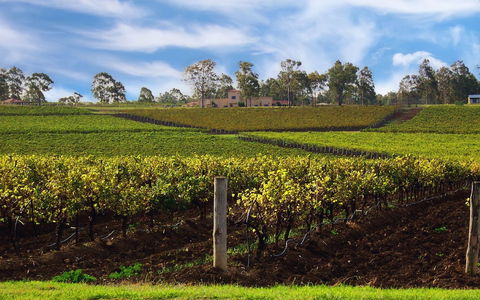 Estate Tuscany - Hotel Accommodation 3