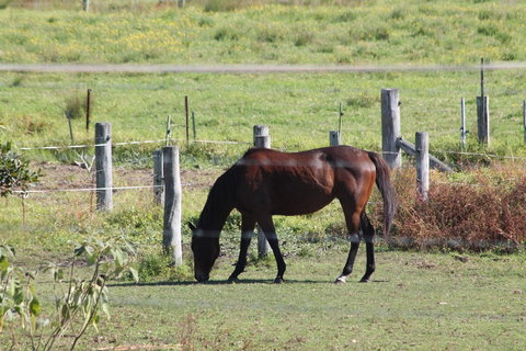 Airport Motel Sir Francis Drake - Hotel Accommodation 0