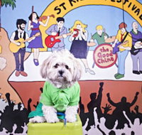 Habitat HQ - Hostel - Hotel Accommodation