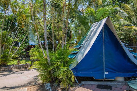 Tasman Holiday Parks - Airlie Beach - Hotel Accommodation 5