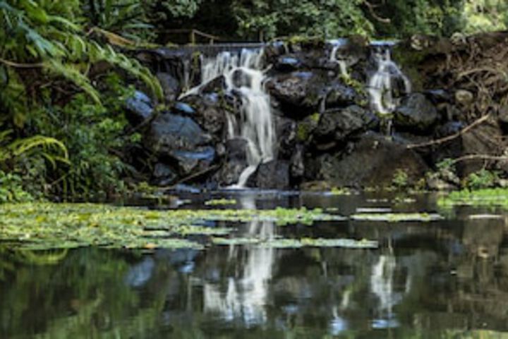 Sunshine Coast Hinterland QLD Hotel Accommodation