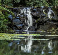 Kondalilla Eco Resort - Hotel Accommodation