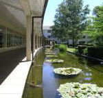 ANU University House Hotel - Hotel Accommodation