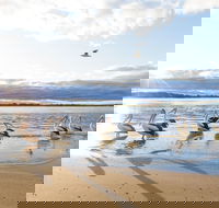 El Paso Motor Inn - Hotel Accommodation