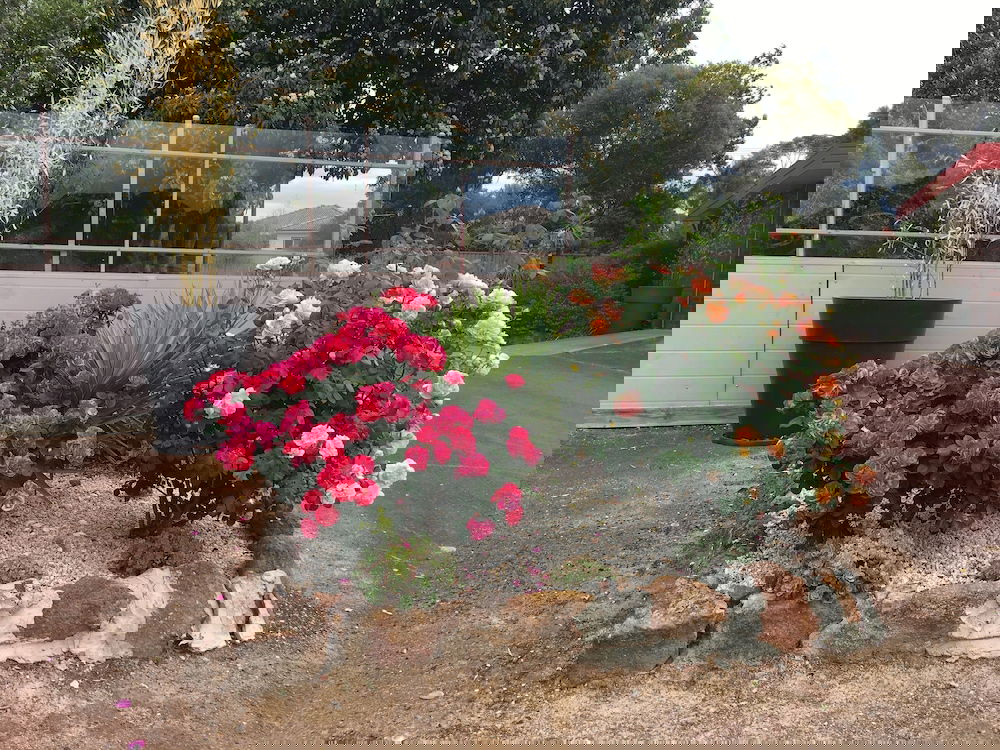 Ararat VIC Hotel Accommodation