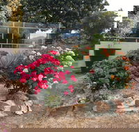 Statesman Motor Inn - Hotel Accommodation