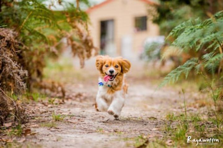 Wensleydale VIC Hotel Accommodation