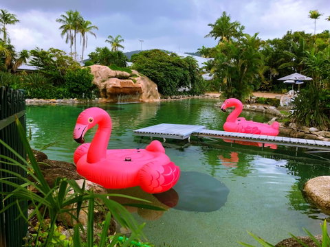 Cairns Colonial Club Resort - Hotel Accommodation 4
