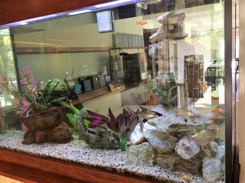 Hospitality Geraldton, SureStay Collection By Best Western - Hotel Accommodation 6