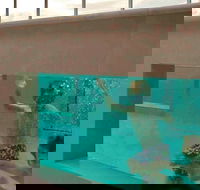 Novotel Brisbane Airport - Hotel Accommodation