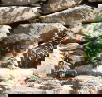 Jenolan Caves House - Hotel Accommodation