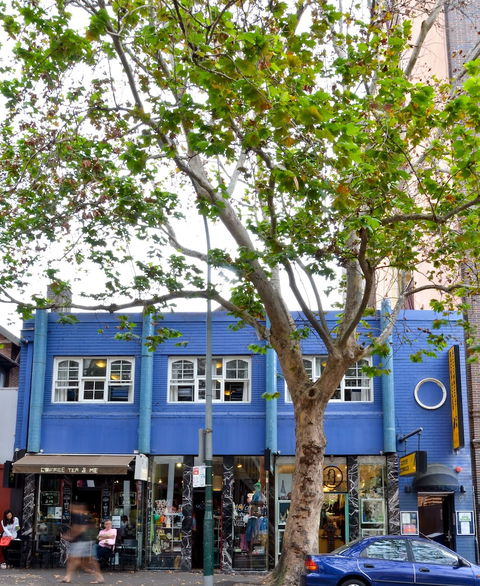 Blue Parrot Backpackers - Hotel Accommodation 6
