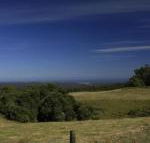 Otway Junction Motor Inn - Hotel Accommodation