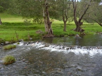Christmas Creek Cafe & Cabins - Hotel Accommodation 4
