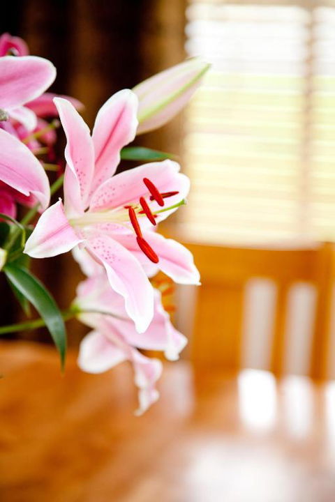 Ocean Mist Villa - Hotel Accommodation 6