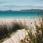 Ocean Mist Villa - Hotel Accommodation 0