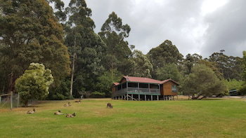 Walpole Wilderness Resort - Hotel Accommodation 5
